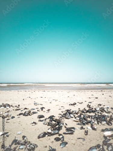 Beach and sea in the morning