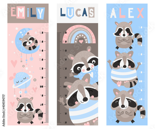 Kids height chart with funny raccoons in boho cartoon style. Vector Illustration. Childish meter wall for nursery design with cute raccoon. Great for girl and boy. Bohemian colors.