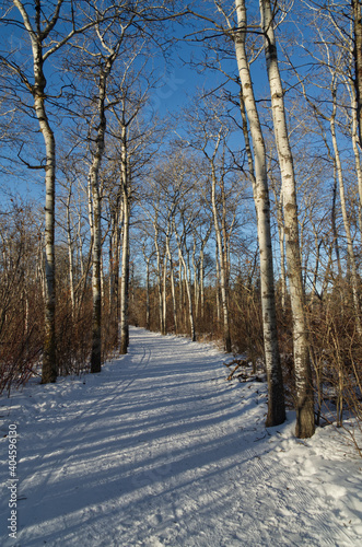 A Hiking Trail in the River Valley near Hawrelak Park