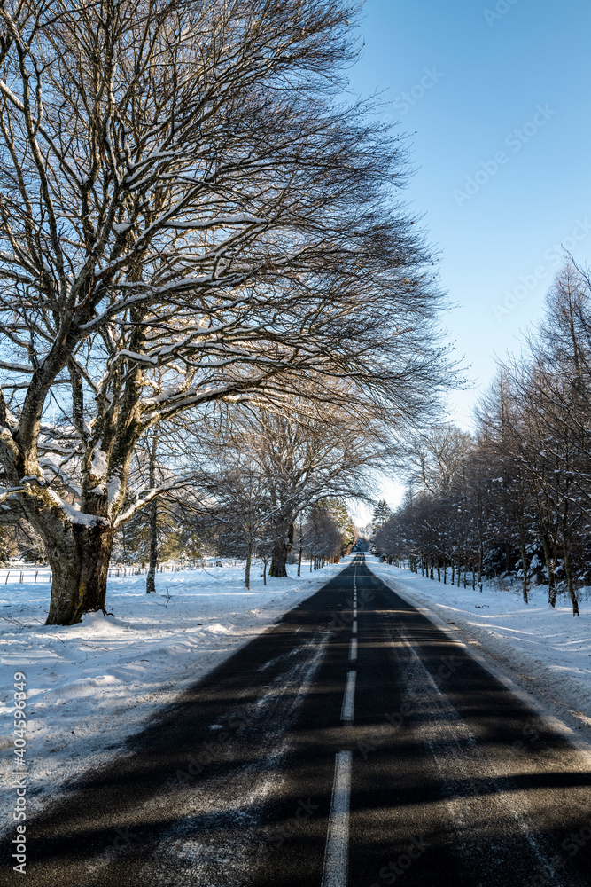 sur la route en hiver sur la route en hiver