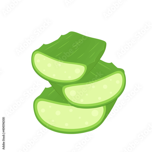Aloe vector. Aloe on white background. free space for text. copy space.