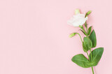 Flowers composition. Pink rose flowers on pastel pink background. Flat lay, top view, copy space