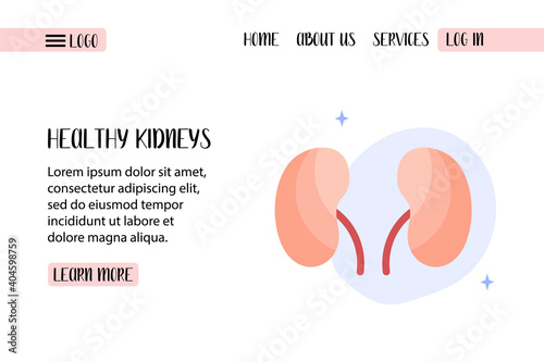 Human kidneys diagnostics. Kidney  and ureteral stones, renal failure, urinary tract obstruction, chronic disease, cancer. Vector flat illustration. Perfect for banner, landing page