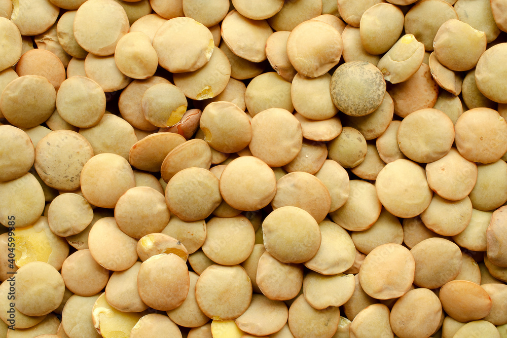 Background from green grains of lentils, top view. Lentil grains texture. Lentils - background, texture. Macro shot of lentil seeds, top view. Background from green grains of lentils, top view. Lentil grains texture. Lentils - background, texture. Macro shot of lentil seeds, top view.