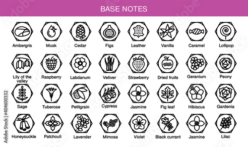 Vector icons aromas base notes. Base notes pyramid chart with examples of popular aroma essences. Scent categories are oriental, woody, fresh and floral. Trend  examples of scents. photo