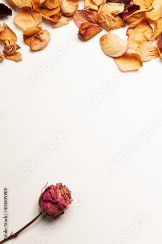 bouquet of pink flowers on the left side on a yellow background and a pink leaf