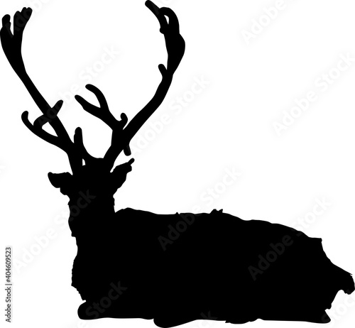 recumbent reindeer large black silhouette on white