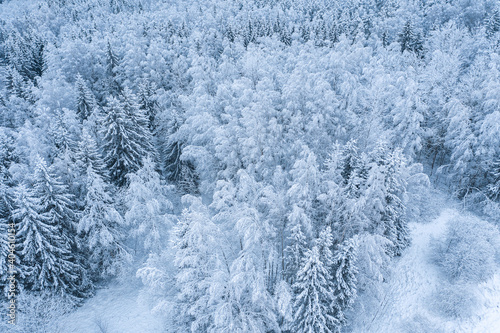 Aerial view of a country road passing through a snowy forest
