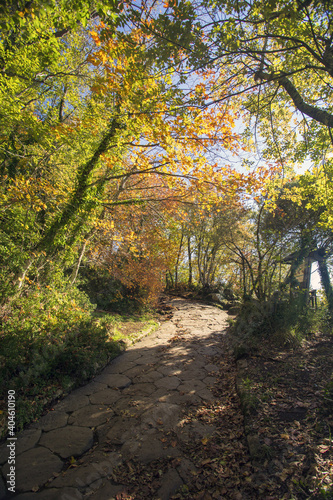 Cable mountain in Rome. The sacred way and woods in autumn. Colors, nature and a fairytale landscape