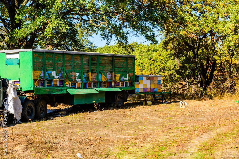 Naklejka premium Multicolored bee hives at apiary in the forest