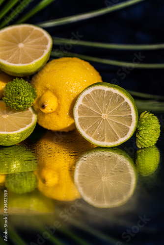 Fresh juicy lime halves and lemons mirror reflected on dark  blue background .