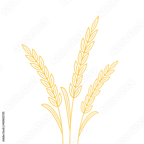 Wheat doodle vector. Wheat on white background.