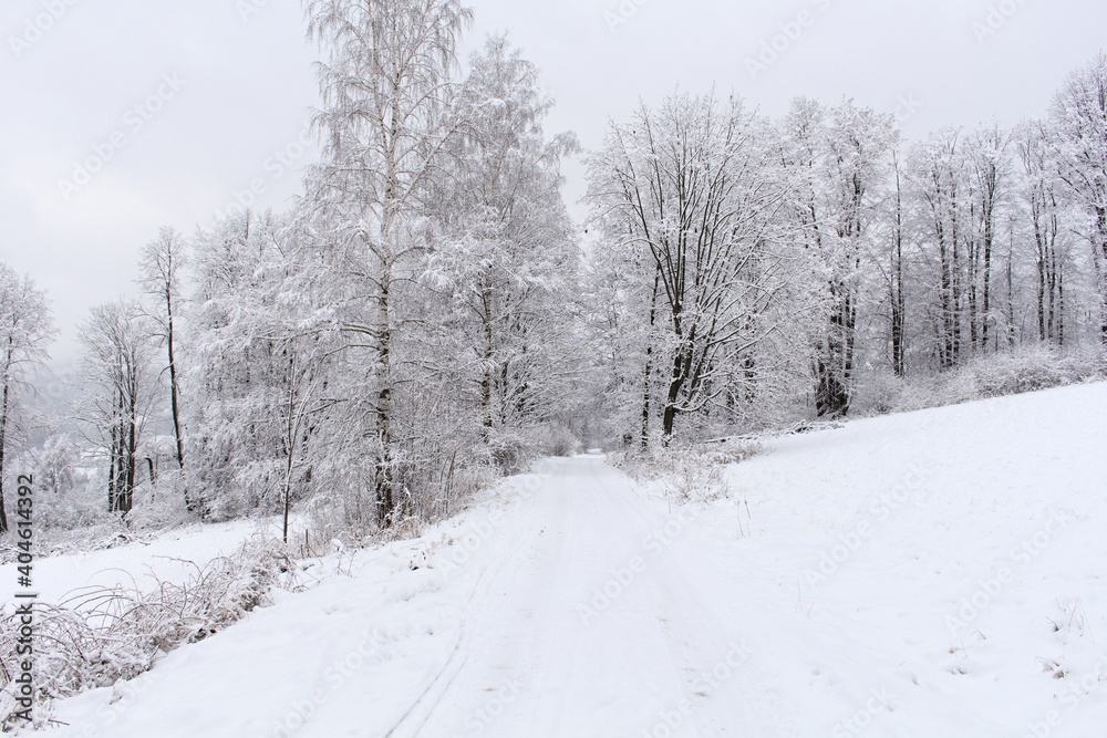 Countryside road through winter field with forest on a horizon