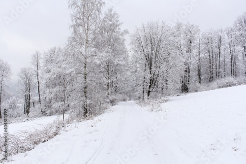 Countryside road through winter field with forest on a horizon © Roman's portfolio
