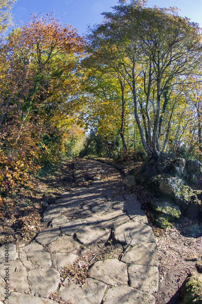 Cable mountain in Rome. The sacred way and woods in autumn. Colors, nature and a fairytale landscape Cable mountain in Rome. The sacred way and woods in autumn. Colors, nature and a fairytale landscape