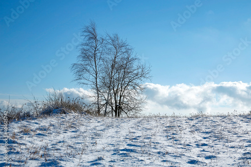 Fototapeta Naklejka Na Ścianę i Meble -  beautiful winter mountain landscape on sunny day