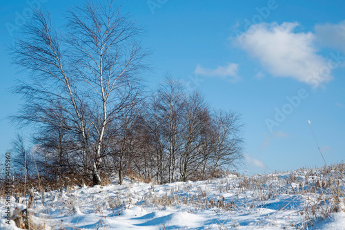 Fototapeta Naklejka Na Ścianę i Meble -  beautiful winter mountain landscape on sunny day