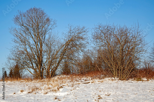 Fototapeta Naklejka Na Ścianę i Meble -  beautiful winter rural landscape on sunny day