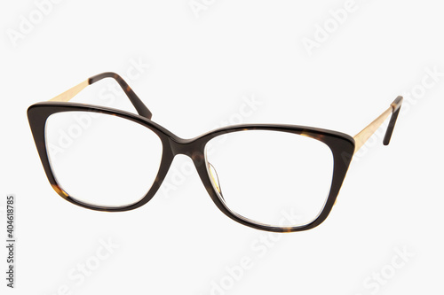 Rectangular plastic oversized eyeglasses frames for women isolated on a white background