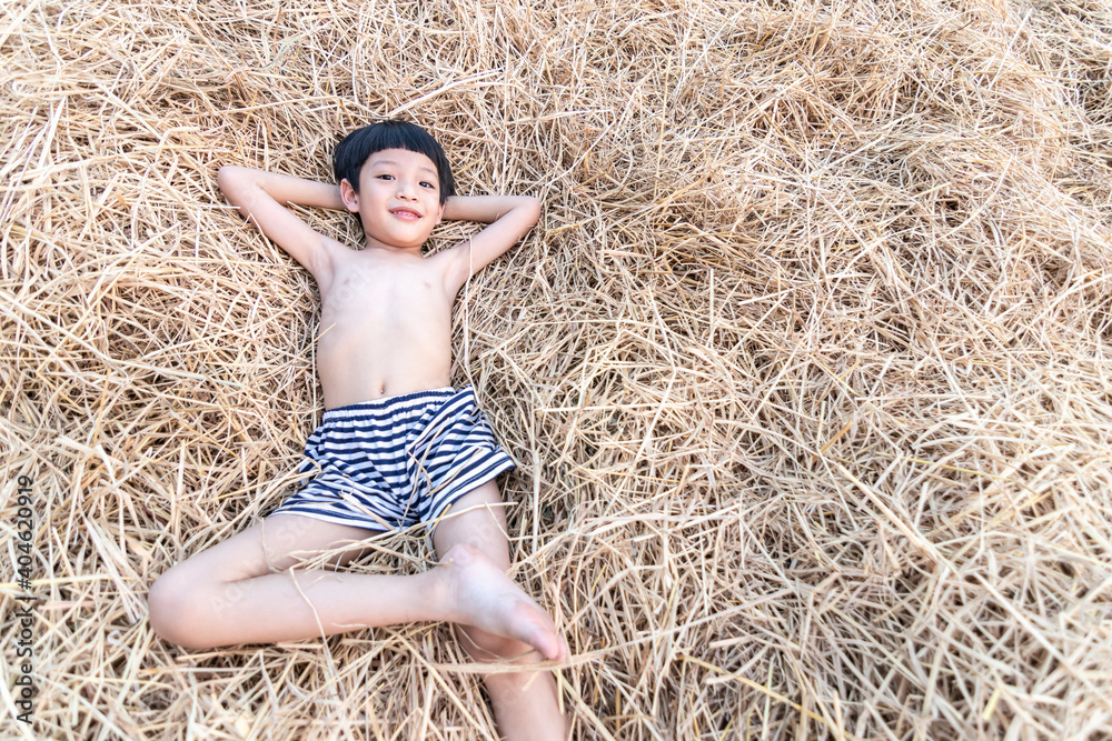 Portrait of a cute little Asian boy smiling and lying down on hay, rice straw. Portrait of a cute little Asian boy smiling and lying down on hay, rice straw.