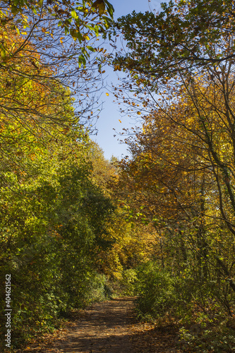 Cable mountain in Rome. The sacred way and woods in autumn. Colors, nature and a fairytale landscape