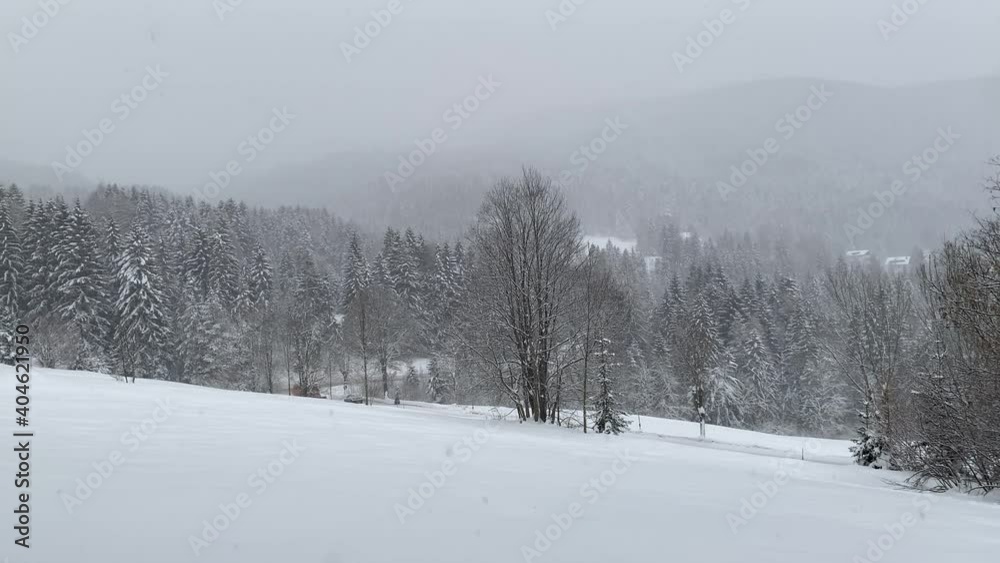 snow covered trees snow covered trees