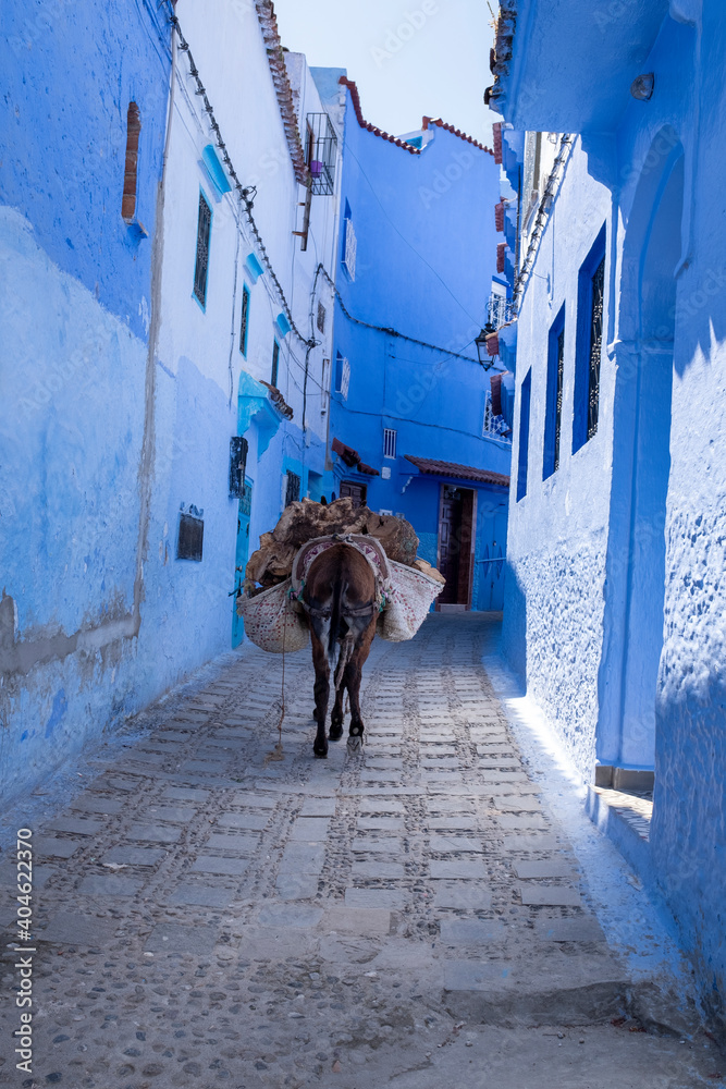 Burro con alforjas por las calles de Chauen, Marruecos