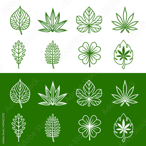 Linear abstract leaf icons set. Various shapes of leaves of trees and plants. Elements for organic  bio logos or landscape business  agriculture  wellness spa logo. Vector illustration.