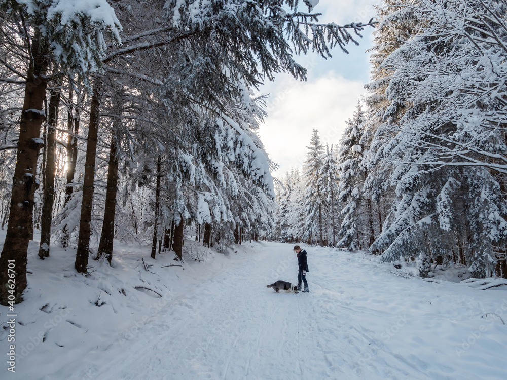 A girl plays with a corgi dog in a snowy forest. Sunlight. Winter's tale. A girl plays with a corgi dog in a snowy forest. Sunlight. Winter's tale.