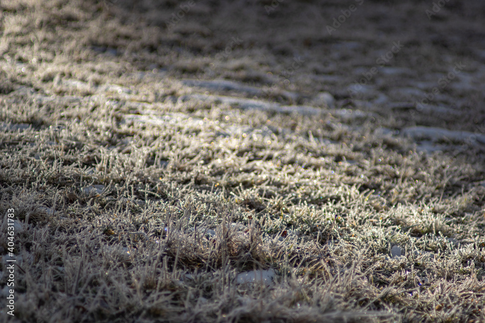 Frost on the grass in the early morning in the mountains