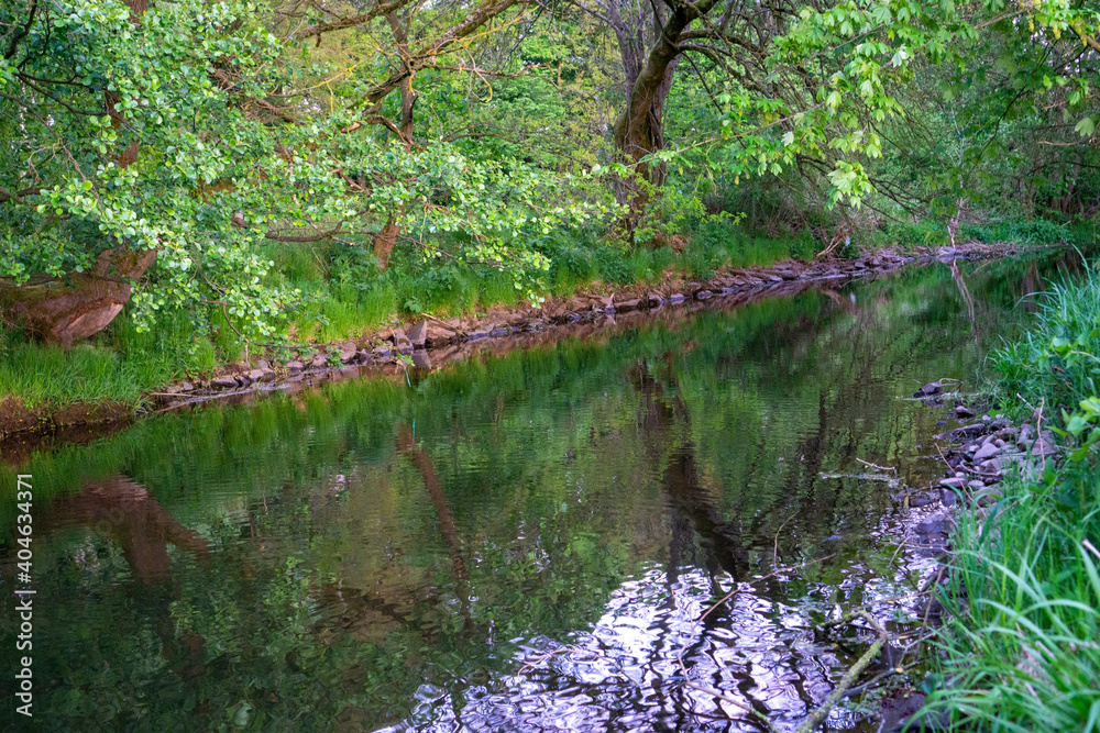 Fluss Hasslach fließt durch Stockheim. Grüne Laubbäume, Reflexion im Wasser Fluss Hasslach fließt durch Stockheim. Grüne Laubbäume, Reflexion im Wasser
