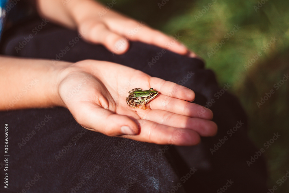 Mała żabka siedząca na dziecięcej dłoni