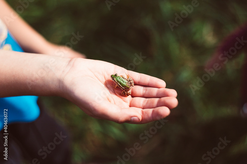Mała żabka siedząca na dziecięcej dłoni