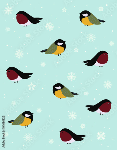 Delicate illustration of winter birds sitting on snowy branches.
Background from snow, snowfall, snowflakes.