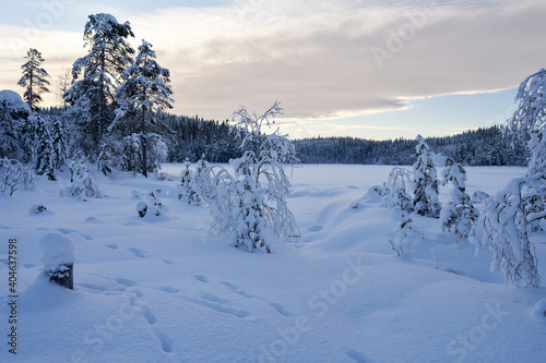 Cross country skiing in Norway is very popular. This is the tracks and slopes in Oslo, just a short distance from downtown. The place is called Nordmarka or Oslomarka. 