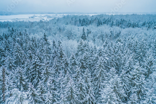 Aerial top view to snowy moutain trees of winter pines. Middle of the winter