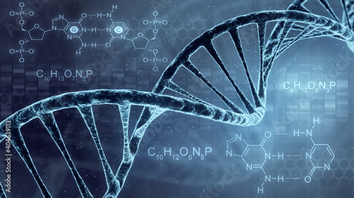DNA double helix illustration. Human DNA spiral formed from nucleotide molecules. Perfect to use as a background for science, biotechnology or genetics. Blue version. 3D rendering