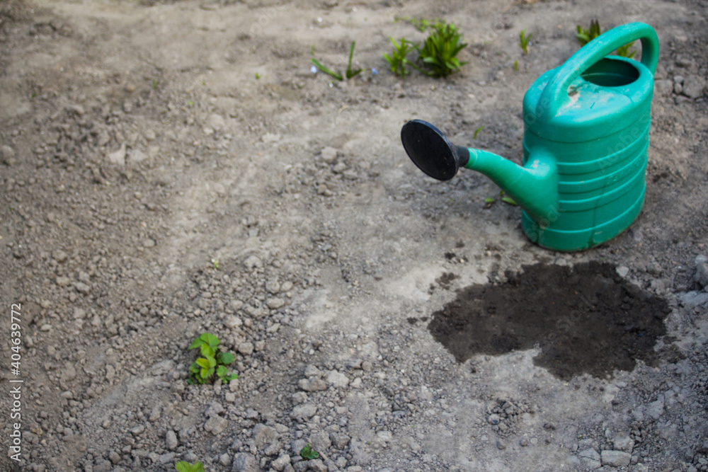 Green watering in the right corner on the background of the garden and dry gray soil. Wet puddle. Some greens. The theme is severe dry land, drought and lack of harvest. Selective focus Green watering in the right corner on the background of the garden and dry gray soil. Wet puddle. Some greens. The theme is severe dry land, drought and lack of harvest. Selective focus