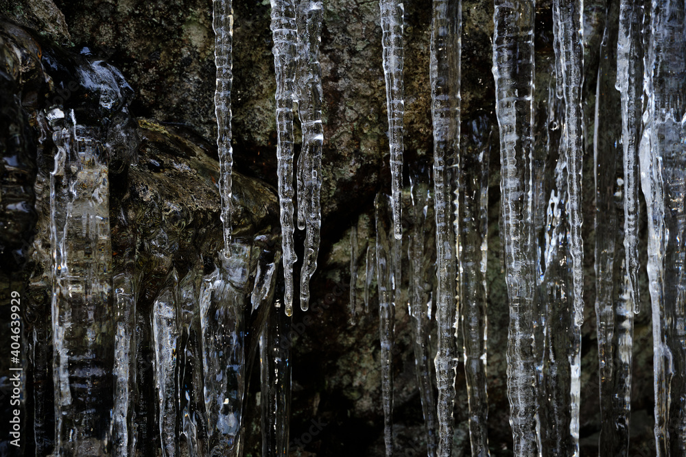 Fototapeta premium Close up of icicles on a cliff with stone in the background