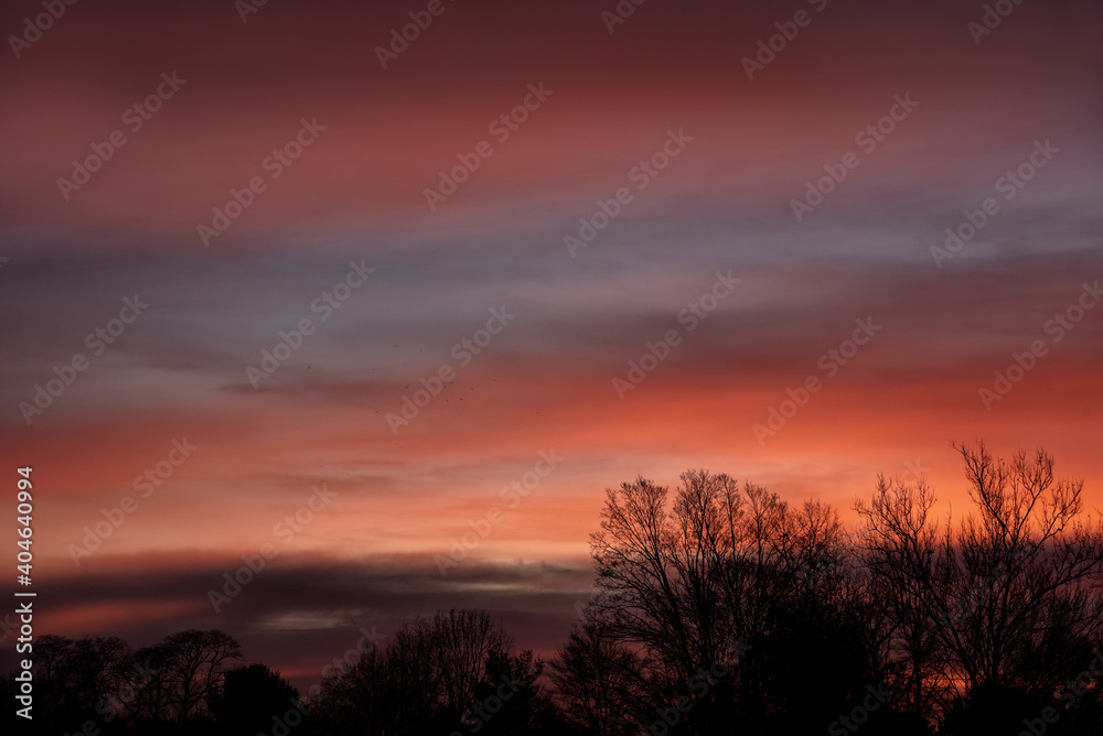 Beautiful winter morning sunrise showing brilliant pinks, oranges and blues along the tree line