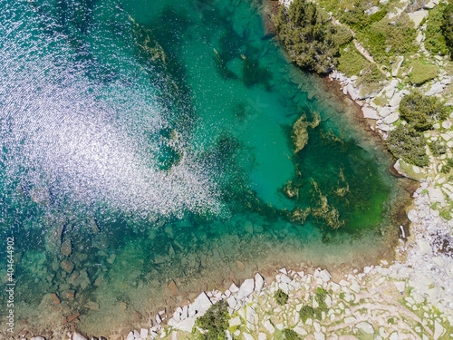 Fish Banderitsa lake at Pirin Mountain, Bulgaria photo