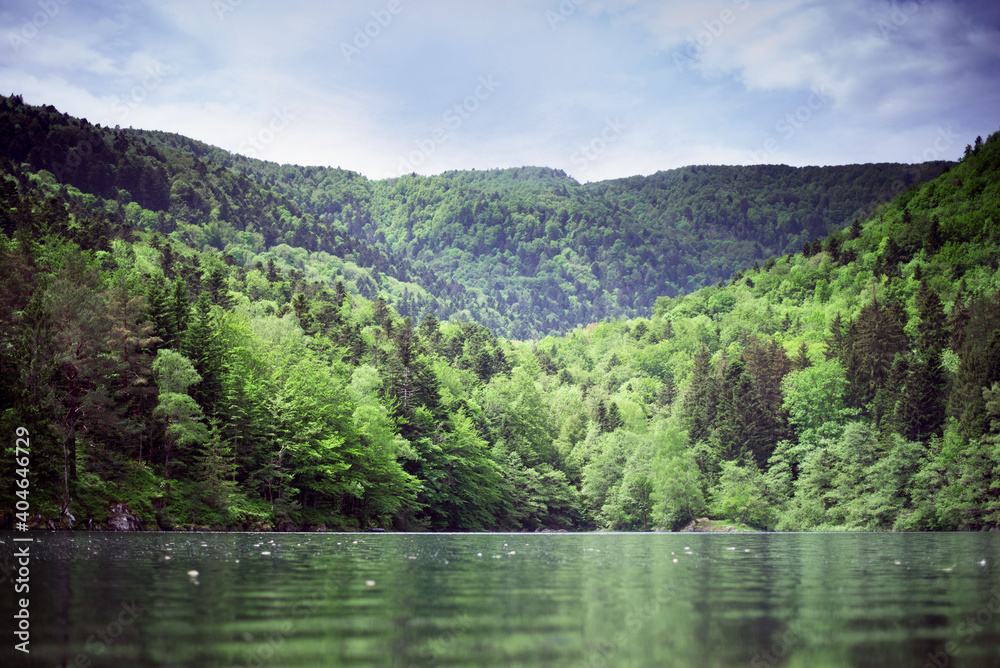 Alpine lake. The forest is reflected in the water. Spring landscape. Young foliage on the trees. Alpine lake. The forest is reflected in the water. Spring landscape. Young foliage on the trees.