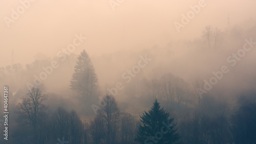 misty mountains landscape with trees 