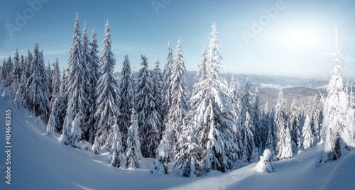 Amazing winter background. Beautiful winter landscape with snow-cowered trees. Awesome frosty forest. Wonderful Christmas Scene. Design new year celebration. Winter holiday concept. Postcard.