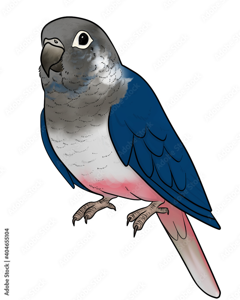 Obraz premium ウロコインコ