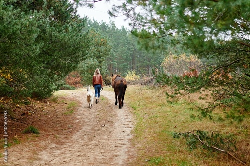 A woman is walking a path with a goat and a horse in an autumn forest in Gdynia, Poland