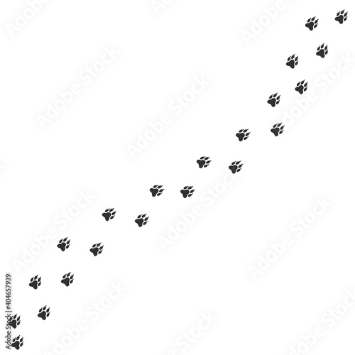 Wolf or dog paws print. Footpath trail of animal, Vector illustration