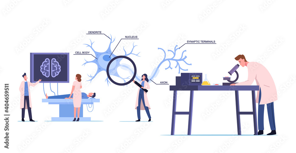 Scientists Characters Wearing White Medical Robe Learning Human Brain in Laboratory with Scheme of Dendrite, Cell Body