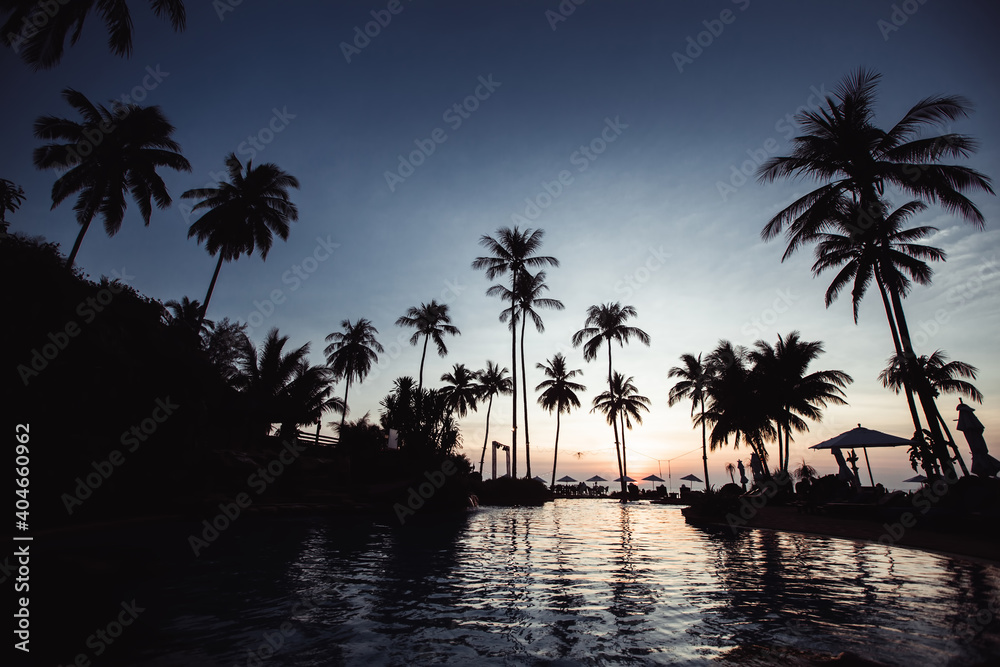 Beautiful twilight on a tropical beach with silhouettes of palm trees.