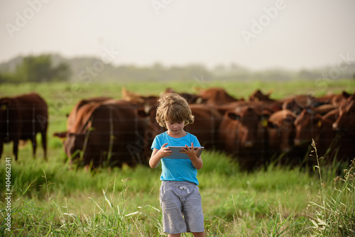 Child farmer at cows farm. Kids at countryside. Kid with tablet at farm.